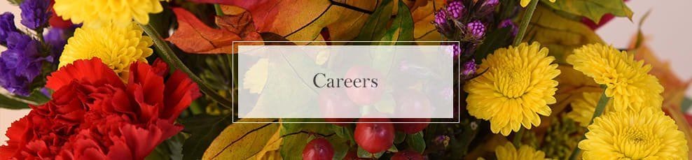 McShan Careers Banner